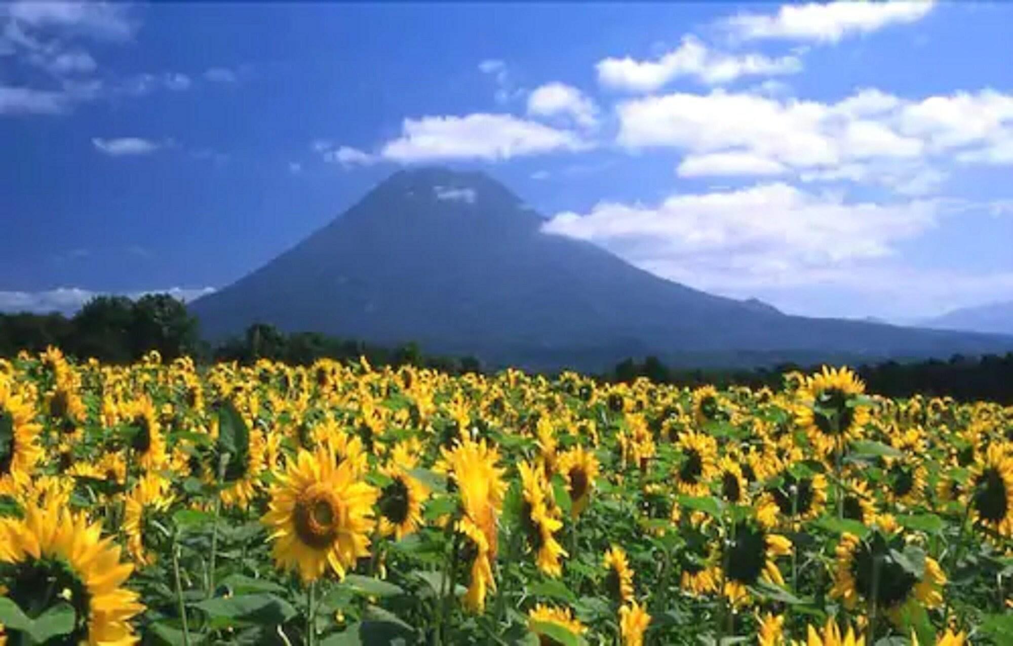 Niseko Prince Hotel Hirafutei Dış mekan fotoğraf