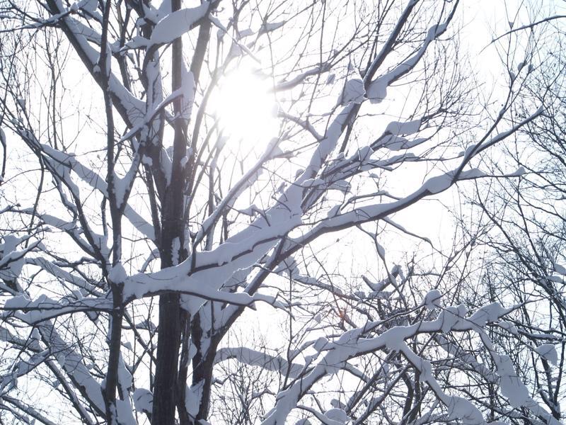 Niseko Prince Hotel Hirafutei Dış mekan fotoğraf