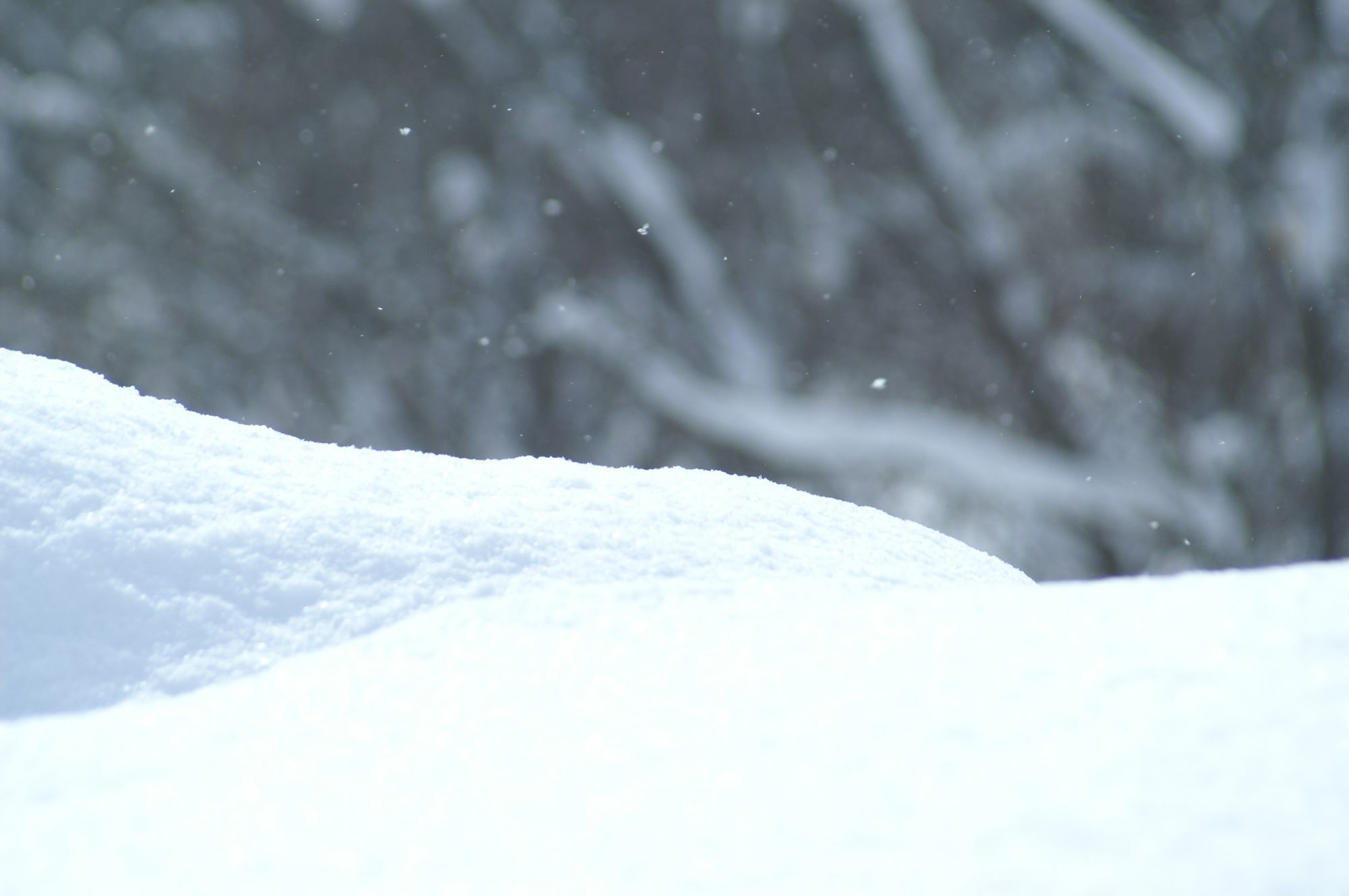 Niseko Prince Hotel Hirafutei Dış mekan fotoğraf